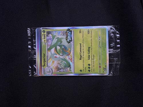 Pokemon perfect order staff - perfect,
