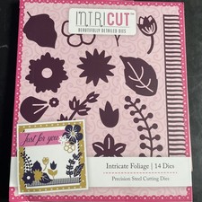 Arts And Crafts Metal Die Set By Intricut Intricate Foliage 14 Dies