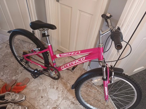 Ammaco girls mountain bike - 24",