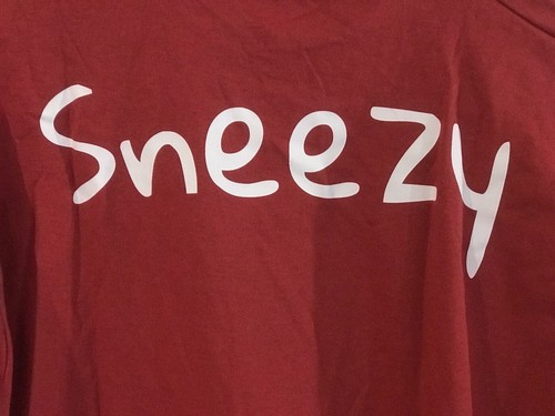Dwarfs sneezy tee shirt - dwarfs,