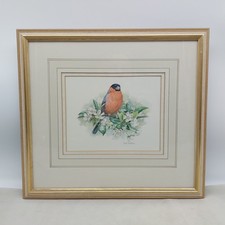 Framed Print of a Bullfinch On