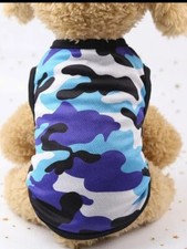 Dog Cat Puppy Kitten Pet