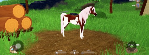 Wild horse islands clear - wild,
