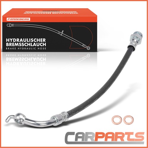 Brake hose - brake, rear