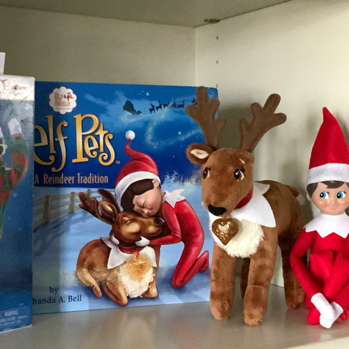 The elf shelf - elf,
