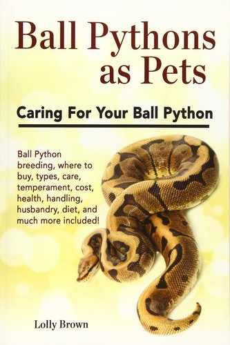 Ball pythons pets - pythons, lolly