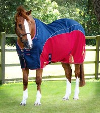 Premier Equine Premier Equine