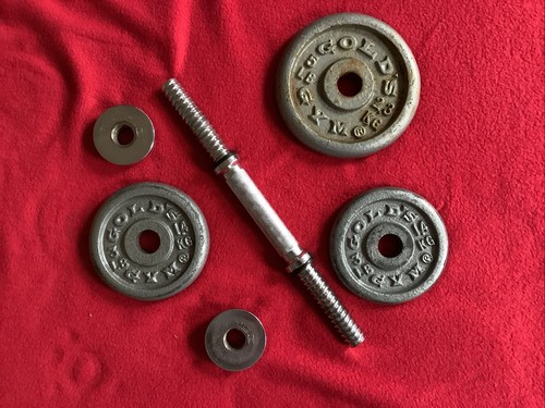 Golds gym weight plates - golds,