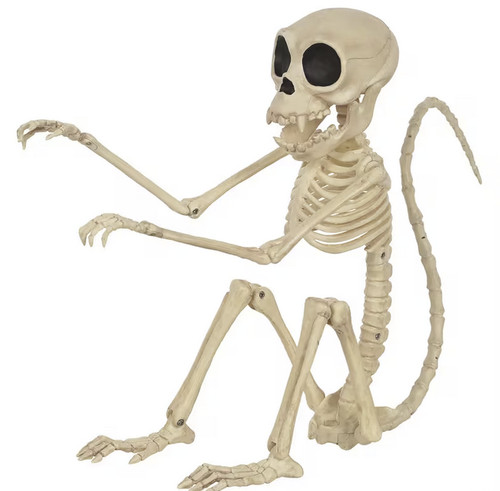 Monkey skeleton halloween - monkey,