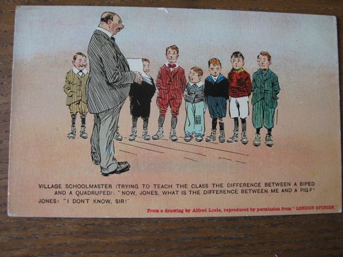 Village schoolmaster - village,