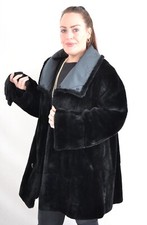 US5167 REAL SHEARED MUSKRAT