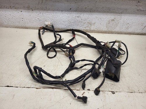 Lexmoto enigma 125 wiring - lexmoto,