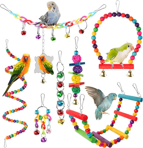 Pack budgie toys bird - toys,