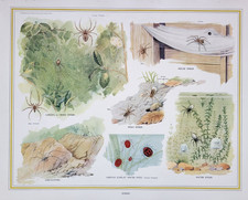 VINTAGE MACMILLAN SCHOOL