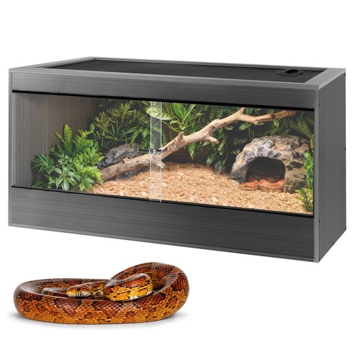 Gallon reptile enclosure - reptile,