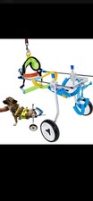 Hobeyhove adjustable dog - hobeyhove,