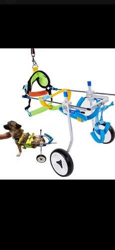 Hobeyhove adjustable dog - adjustable,