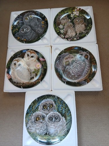 Wedgwood the baby owls - the,