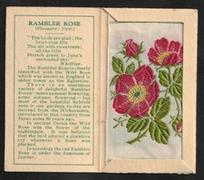 Kensitas WIX  tobacco Small