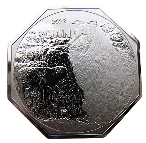 Shetland crown 2022 - 2022, sheltie