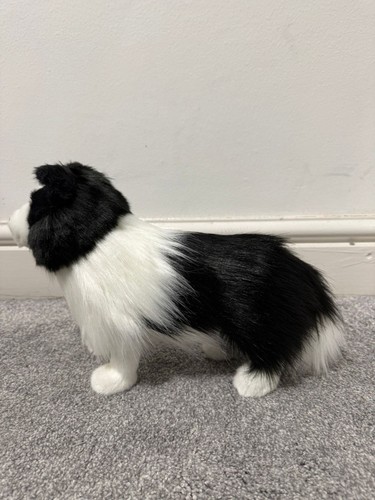 Hansa standing black white cat - hansa, black/white