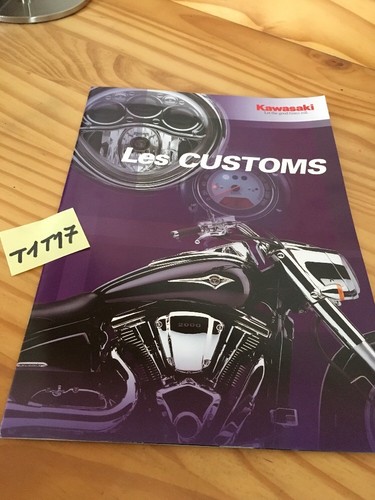 Kawasaki custom 800 - kawasaki,