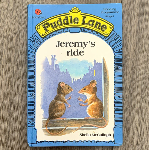 Ladybird puddle lane - puddle,