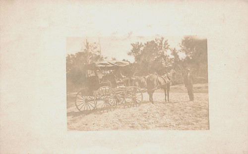 Horses pulling large - horses,