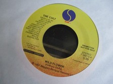 7" VINYL RECORD DEMO THE CULT