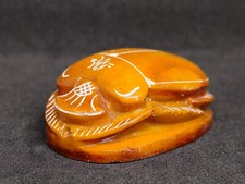Egyptian scarab beetle - scarab,