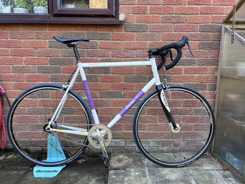 Condor pista size - size, 61cm