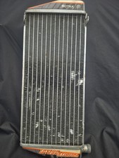 Rotax Max Evo Genuine Silver