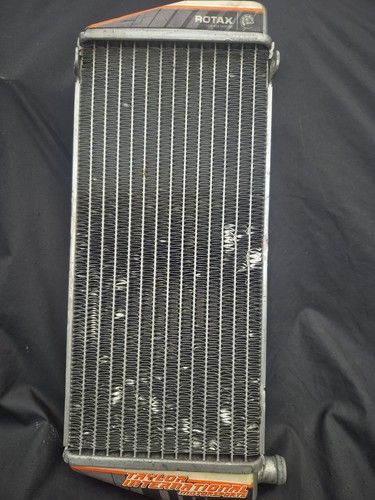 Rotax max evo genuine silver - max,