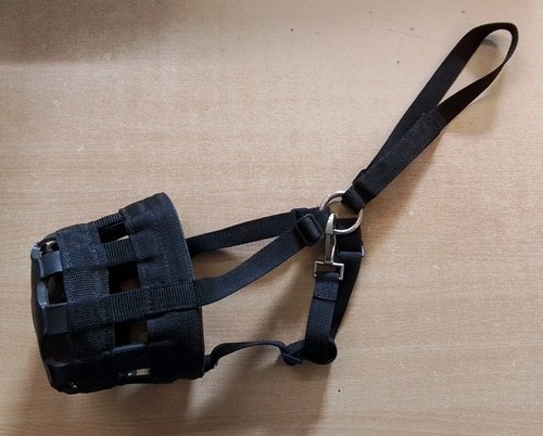 Grazing muzzle pony black - pony,