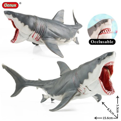 Large shark ocean animal - large,