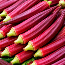 30 UK Burgundy Okra Seeds