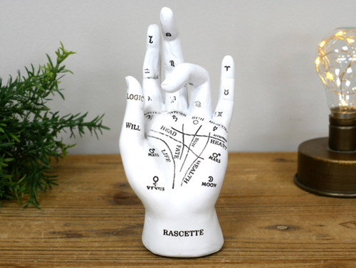White antique style phrenology - white,