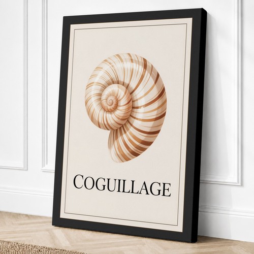 Chambered nautilus shell - chambered,
