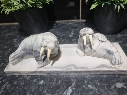 Walrus marble style - walrus,