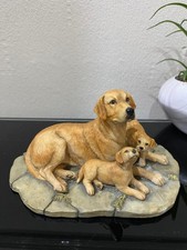 Labrador Mum Mother & Puppies