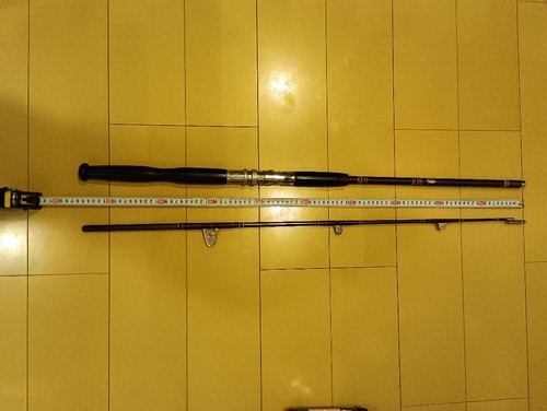 Offshore fishing rod - fishing,