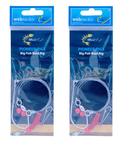 Wsb pioneer big fish boat - 2,