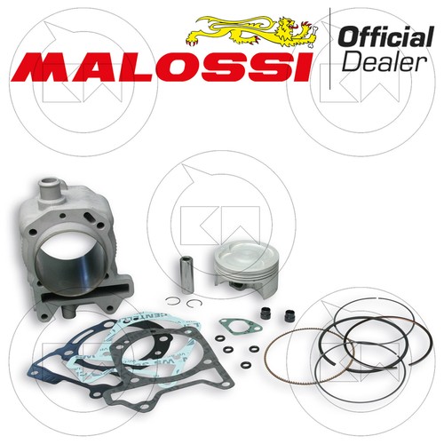 Malossi 3113955 cylider - 3113955, kit