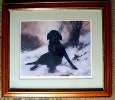 Black Labrador. John Trickett .Signed Print .26" x 30" . COLLECTION ONLY.  VGC