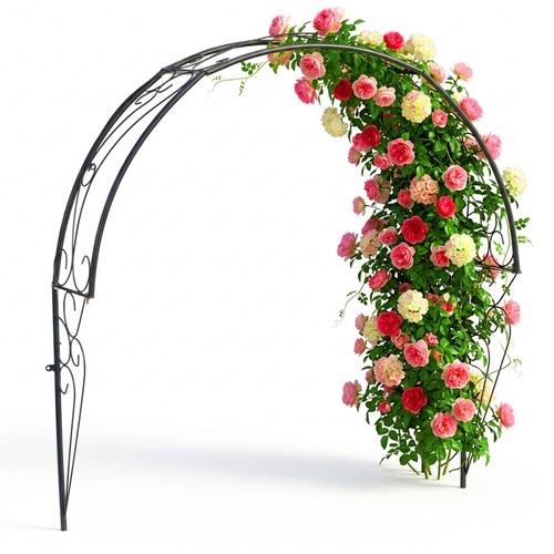 Rose arch half - rose, arch,