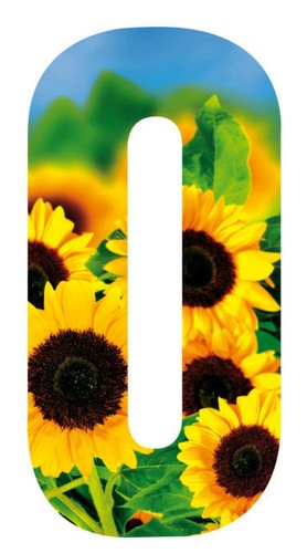 Sunflower design wheelie - wheelie, bin