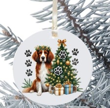 Welsh Springer Spaniel Dog
