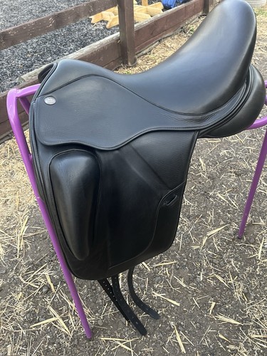 Fairfax gareth dressage - fairfax,