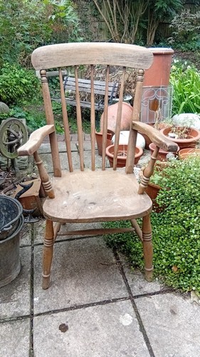 19th century beech elm - a,