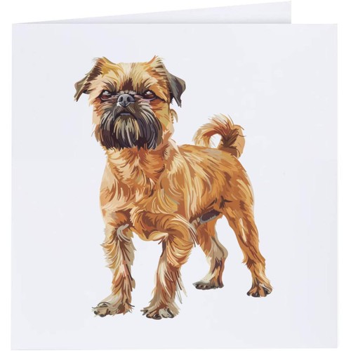 Brussels griffon standing - 'brussels, standing'